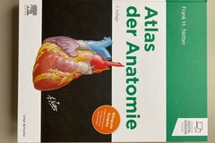 Books / literature: Netter Atlas der Anatomie