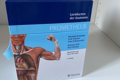 Flashcards: Prometheus Lernkarten Anatomie