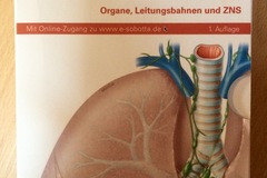 Lernkarten: Sobotta Organe, Leitungsbahnen und ZNS
